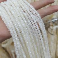 Spacer Beads Jóias, White Lip Shell, DIY, branco, 3x4mm, Aprox 90PCs/Strand, vendido para Aprox 40 cm Strand