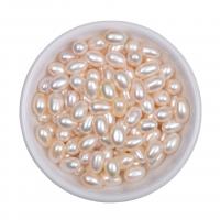 Gioielli Spacer Beads, perla d'acquadolce coltivata naturalmente, DIY, bianco, 6x9mm, Venduto da PC