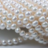 Natural Freshwater Pearl Loose Beads, Slightly Round, DIY & different size for choice, white, Sold Per Approx 36-38 cm Strand
