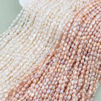 Perle perline Keishi coltivate d'acqua dolce, perla d'acquadolce coltivata naturalmente, DIY, nessuno, 5-6mm, Venduto per Appross. 36-38 cm filo