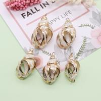 Shell Pendants, with Brass, Conch, gold color plated, DIY & hollow, mixed colors, 16x30-23x39mm, 5PCs/Bag, Sold By Bag