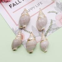 Shell Pendants, with Brass, Conch, gold color plated, DIY, mixed colors, 14x17-20x36mm, 5PCs/Bag, Sold By Bag