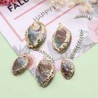 Shell Pendants, with Brass, gold color plated, DIY, mixed colors, 13x21-21x32mm, 5PCs/Bag, Sold By Bag