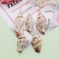 Shell Pendants with Brass Conch gold color plated DIY mixed colors 16x34- Sold By Bag