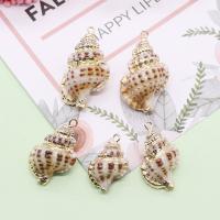Shell Pendants, with Brass, Conch, gold color plated, DIY, mixed colors, 15x22-21x34mm, 5PCs/Bag, Sold By Bag