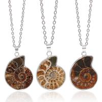 Gemstone Pendants Jewelry, Trumpet Shell Fossil, with Brass, Conch, silver color plated, random style & DIY, mixed colors, 20-25x28-35x3-8mm, Sold By PC