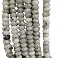 Perles en labradorite, Plat rond, poli, DIY, plus de couleurs à choisir, 5x8mm, Vendu par Environ 38 cm brin