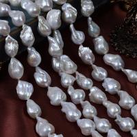 Perles nacres baroques de culture d'eau douce , perle d'eau douce cultivée, Irrégulière, DIY, blanc, 13-15x20-25mm, Vendu par Environ 40 cm brin