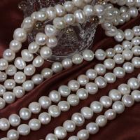 Naturliga sötvattenspärla lösa pärlor, Freshwater Pearl, DIY, vit, 10mm, Såld Per Ca 38 cm Strand