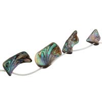 Abalone Shell Beads DIY Sold Per Approx 13.27 Inch Strand