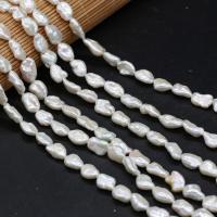 Spacer Perlen Schmuck, Natürliche kultivierte Süßwasserperlen, DIY, weiß, 10x15mm, verkauft per ca. 38 cm Strang
