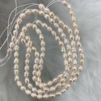 Riso coltivato in perla d'acqua dolce, perla d'acquadolce coltivata naturalmente, Naturale & DIY, bianco, 4-5mm, Venduto per 36-38 cm filo