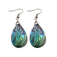 Shell Earrings, Brass, with Abalone Shell, fashion jewelry & for woman, nickel, lead & cadmium free, 53x18x2mm, Sold By Pair