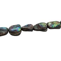 Perles coquillage d'ormeau, coquille d'ormeau, DIY, 17x11mm, Vendu par Environ 15.35 pouce brin