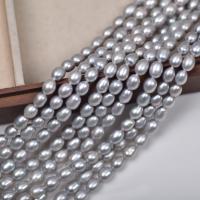 Perles d'espacement Bijoux, perle d'eau douce cultivée, DIY, gris, 6mm, Vendu par Environ 38 cm brin