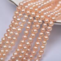 Spacer Perlen Schmuck, Natürliche kultivierte Süßwasserperlen, DIY, goldfarben, 6mm, verkauft per ca. 37 cm Strang