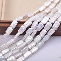 Spacer Beads Jóias, Pérolas de água doce, Quadrado, DIY, branco, 13mm, vendido para Aprox 40 cm Strand