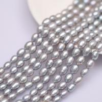 Spacer Perlen Schmuck, Natürliche kultivierte Süßwasserperlen, DIY, Silberfarbe, 8mm, verkauft per ca. 37 cm Strang