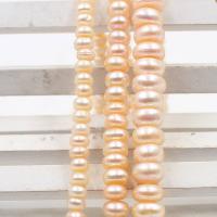 Natural Freshwater Pearl Loose Beads, Abacus, DIY & different size for choice, more colors for choice, Sold Per Approx 38 cm Strand