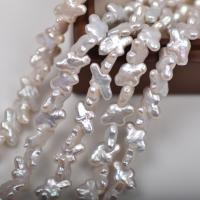 Spacer Perlen Schmuck, Natürliche kultivierte Süßwasserperlen, DIY, weiß, 9x14mm, ca. 50PCs/Strang, verkauft per ca. 38 cm Strang