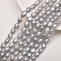 Spacer perle Nakit, Slatkovodni Pearl, možete DIY, siv, nikal, olovo i kadmij besplatno, 9mm, Prodano Per Približno 38 cm Strand