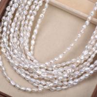Spacer perle Nakit, Slatkovodni Pearl, možete DIY, bijel, 5mm, Dužina Približno 38 cm, Prodano By PC