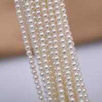 Spacer Beads Jewelry, Freshwater Pearl, DIY, white, 3.50mm, Length:Approx 40 cm, Sold By PC