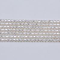 Runde ferskvandskulturperle Beads, Ferskvandsperle, du kan DIY, hvid, 2-2.5mm, Solgt Per Ca. 36 cm Strand