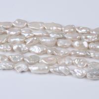 Naturales agua dulce perlas sueltas, Perlas cultivadas de agua dulce, Bricolaje, Blanco, 14-15mm, Vendido para aproximado 36 cm Sarta