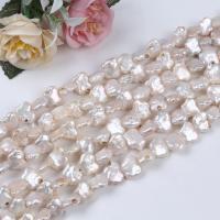 Naturales agua dulce perlas sueltas, Perlas cultivadas de agua dulce, Bricolaje, Blanco, 14.80mm, Vendido para aproximado 36 cm Sarta