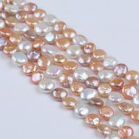 Naturalne perły słodkowodne perełki luźne, Perła naturalna słodkowodna, Płaskie koło, DIY, mieszane kolory, 11-12mm, sprzedawane na około 20 cm Strand