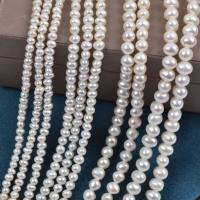 Spacer perle Nakit, Slatkovodni Pearl, možete DIY & različite veličine za izbor, bijel, Prodano Per Približno 38 cm Strand