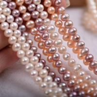 Spacer perle Nakit, Slatkovodni Pearl, možete DIY, više boja za izbor, 6mm, Prodano Per Približno 39 cm Strand