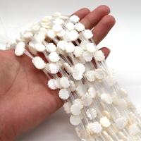 Natürliche Süßwasser Muschel Perlen, Schale, DIY, weiß, about :11-12mm, ca. 20PCs/Strang, verkauft von Strang