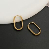 Titanium Steel  Earring, fashion jewelry, nickel, lead & cadmium free, Sold By Pair