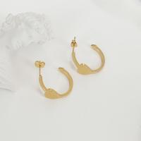 Boucle d'oreille Acier Titane, bijoux de mode, protéger l'environnement, sans nickel, plomb et cadmium, Vendu par paire