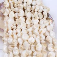 Natürliche Süßwasser Muschel Perlen, Süßwassermuschel, DIY, weiß, 15x20mm, verkauft per ca. 36 cm Strang