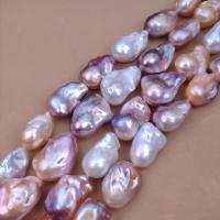 Baroko Kultūringas gėlavandenių perlų karoliukai, Gėlo vandens perlų, Barokas, Pasidaryk pats, mišrios spalvos, 15mm, Parduota už Apytiksliai 38 cm Strand