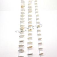 Perles en coquillage blanc naturel, coquille blanche, DIY & normes différentes pour le choix, blanc, Environ 20PC/brin, Vendu par brin