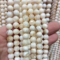 Natural Freshwater Shell Beads Trochus Shell Round DIY white Sold By Strand