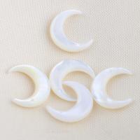 Pingentes de concha branca natural, Lua, DIY, branco, 14.90x12.60x3mm, vendido por PC