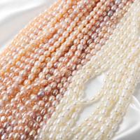 Perlas Arroz Freshwater, Perlas cultivadas de agua dulce, Bricolaje, más colores para la opción, 5-6mm, Vendido para aproximado 37 cm Sarta