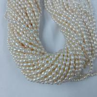 Rice ferskvandskulturperle Beads, Ferskvandsperle, Ris, du kan DIY, hvid, 4-5mm, Solgt Per Ca. 37 cm Strand