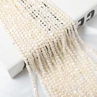 Natūralus gėlavandenių perlų Palaidos karoliukai, Gėlo vandens perlų, Butas Round, Pasidaryk pats, baltas, 5-6mm, Parduota už Apytiksliai 37 cm Strand