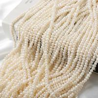 Naturel d'eau douce perles, perle d'eau douce cultivée, Légèrement rond, DIY, blanc, 4.5-5mm, Vendu par Environ 37 cm brin