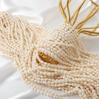 Rice ferskvandskulturperle Beads, Ferskvandsperle, Ris, du kan DIY, hvid, 4-4.5mm, Solgt Per Ca. 37 cm Strand