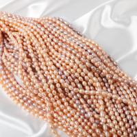 Perlas Arroz Freshwater, Perlas cultivadas de agua dulce, Bricolaje, rosa púrpura, 6-7mm, Vendido para aproximado 37 cm Sarta