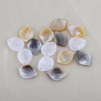 Natural Freshwater Shell Beads, Leaf, DIY, more colors for choice, 13.80x10.20x2.20mm, Sold By PC