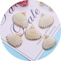 Shell Pendants, with Brass, gold color plated, DIY, white, Length about 21-27mm,Hight about 25-31mm, 5PCs/Bag, Sold By Bag