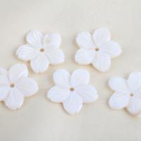 Perles naturelles de coquillage d'eau douce , Haut Coque, fleur, DIY, blanc, 23.80x23.60x3.10mm, Trou:Environ 1.4mm, Vendu par PC